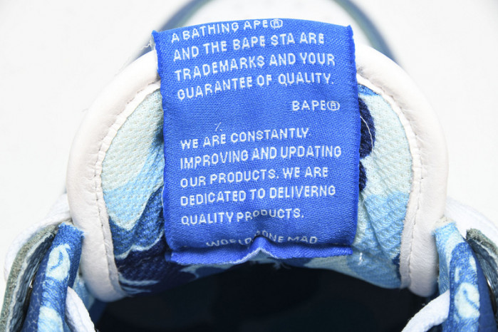 BAPE Shoe